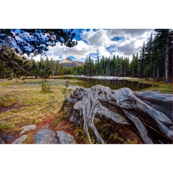 Fototapet autoadeziv Peisaj 132, 70x105 cm Fototapet autoadeziv Peisaj 132, 70x105 cm