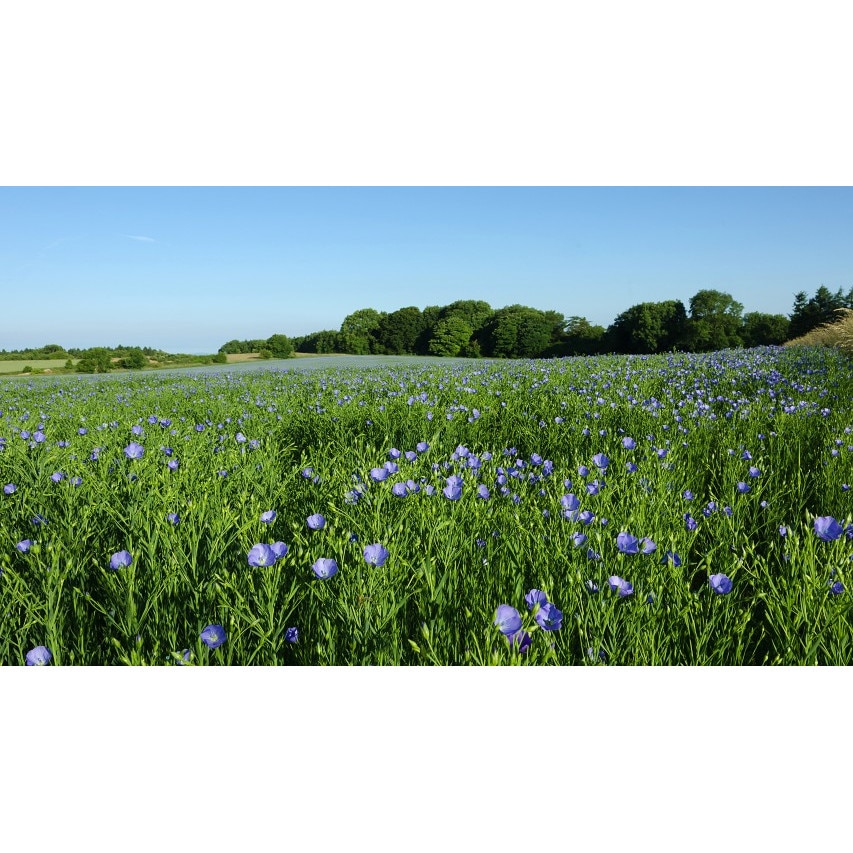 Tablou canvas Peisaj 89, 60x40 cm