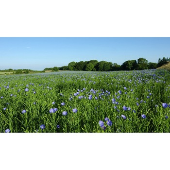 Tablou canvas Peisaj 89, 50x35 cm Tablou canvas Peisaj 89, 50x35 cm