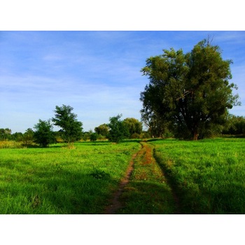 Tablou canvas Peisaj 130, 75x50 cm Tablou canvas Peisaj 130, 75x50 cm