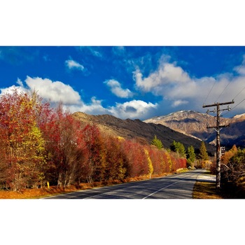 Tablou canvas Peisaj 77, 100x70 cm Tablou canvas Peisaj 77, 100x70 cm