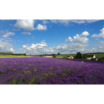 Fototapet autoadeziv Peisaj 90, 70x105 cm Fototapet autoadeziv Peisaj 90, 70x105 cm