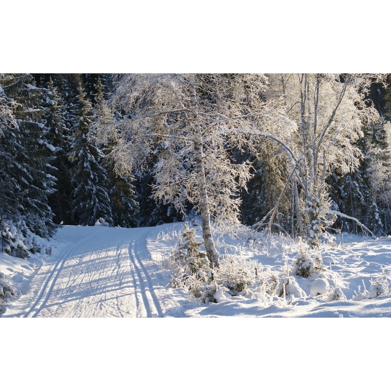 Tablou canvas Peisaj 96, 50x90 cm