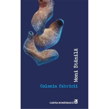 Colonia fabricii - Moni Stanila Colonia fabricii - Moni Stanila