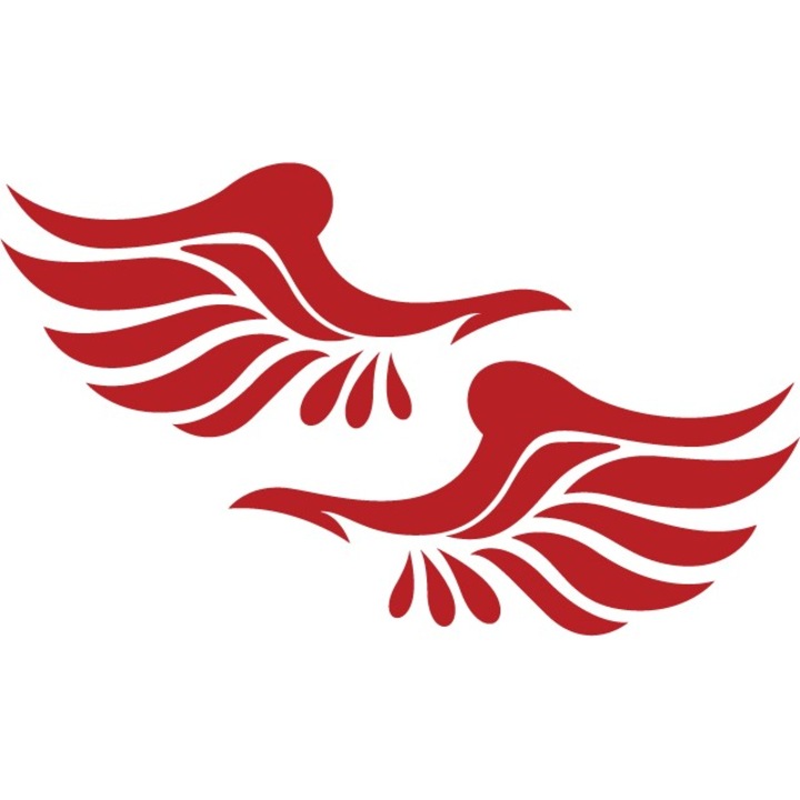 Visszapillantó tükör matrica - Szárnyak - Cardinal Red - 2db 16x8 cm