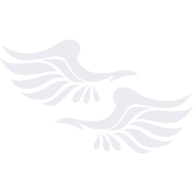 Sticker oglinzi retrovizoare - Aripi - Alb polar - 2buc 16x8 cm