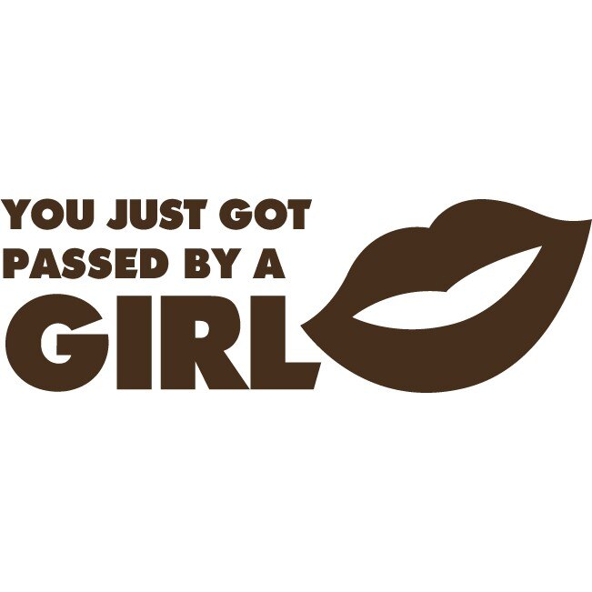 Sticker auto - You just got passed... - Choco - 45x15 cm