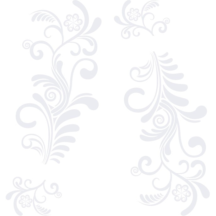 Sticker auto - Feriga (pachet) - Alb polar - 2buc 109x52 cm