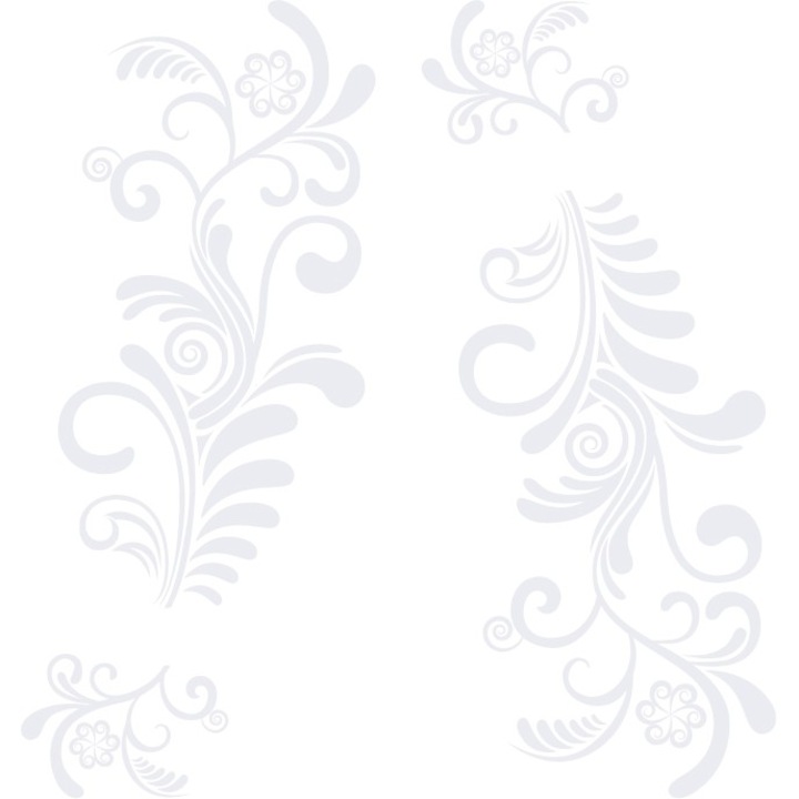 Sticker auto - Feriga (pachet) - Alb polar - 2buc 109x52 cm