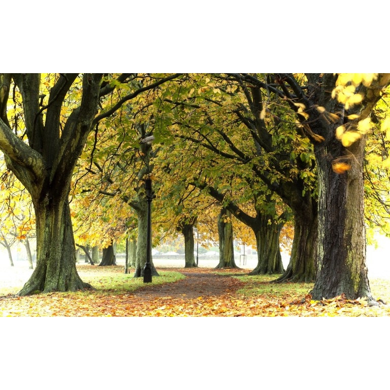 Tablou canvas Peisaj 42, 50x35 cm