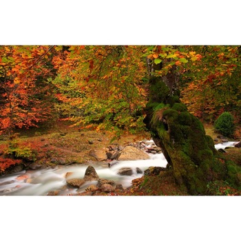 Tablou canvas Peisaj 46, 60x40 cm Tablou canvas Peisaj 46, 60x40 cm