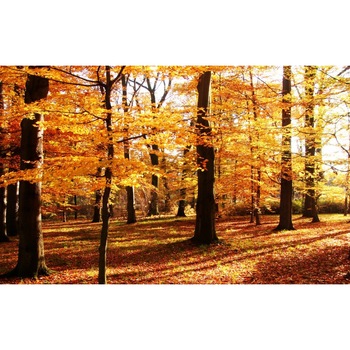 Tablou canvas Peisaj 69, 50x35 cm Tablou canvas Peisaj 69, 50x35 cm