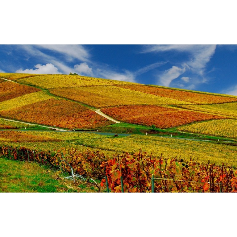 Tablou canvas Peisaj 17, 60x40 cm