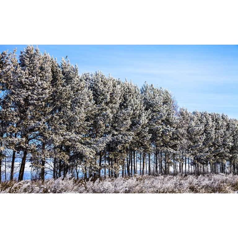 Tablou canvas Peisaj 99, 100x70 cm