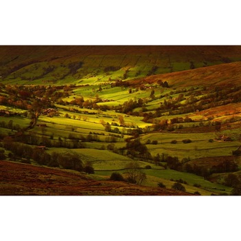 Tablou canvas Peisaj 48, 75x50 cm Tablou canvas Peisaj 48, 75x50 cm