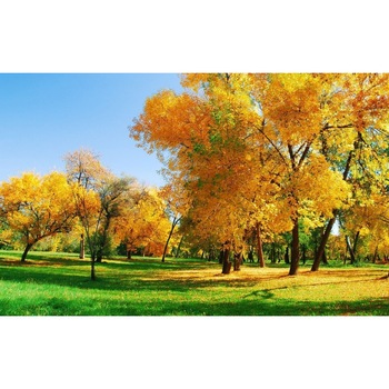 Tablou canvas Peisaj 162, 100x70 cm Tablou canvas Peisaj 162, 100x70 cm