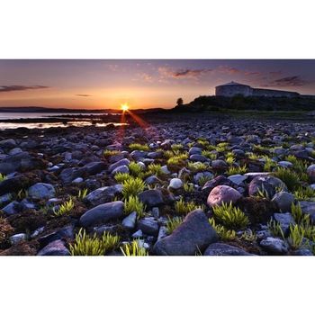 Tablou canvas Peisaj 176, 100x70 cm Tablou canvas Peisaj 176, 100x70 cm