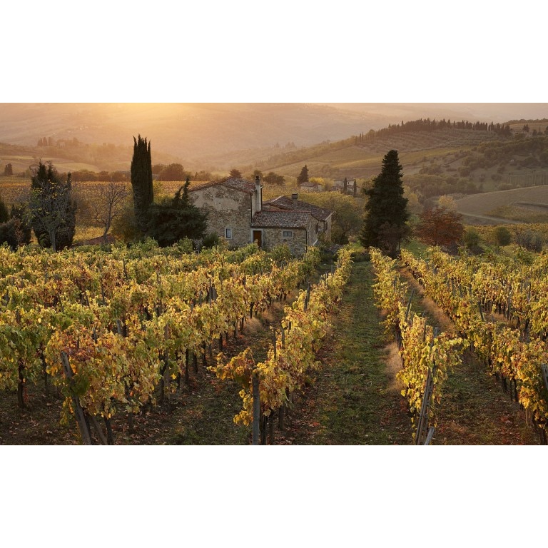 Tablou canvas Peisaj 160, 50x35 cm