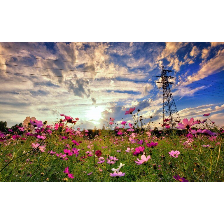 Tablou canvas Peisaj 161, 50x35 cm