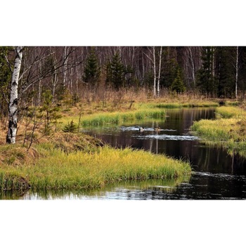 Tablou canvas Peisaj 180, 50x90 cm Tablou canvas Peisaj 180, 50x90 cm