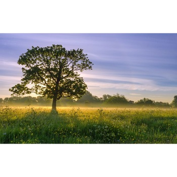 Tablou canvas Peisaj 115, 50x90 cm Tablou canvas Peisaj 115, 50x90 cm