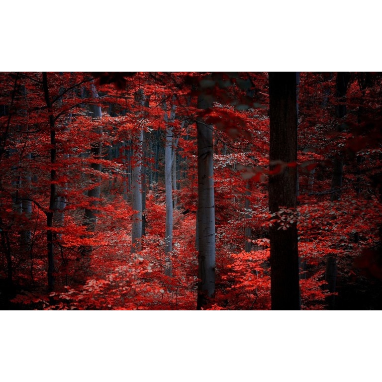 Tablou canvas Peisaj 191, 75x50 cm