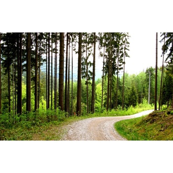 Tablou canvas Peisaj 198, 50x90 cm Tablou canvas Peisaj 198, 50x90 cm