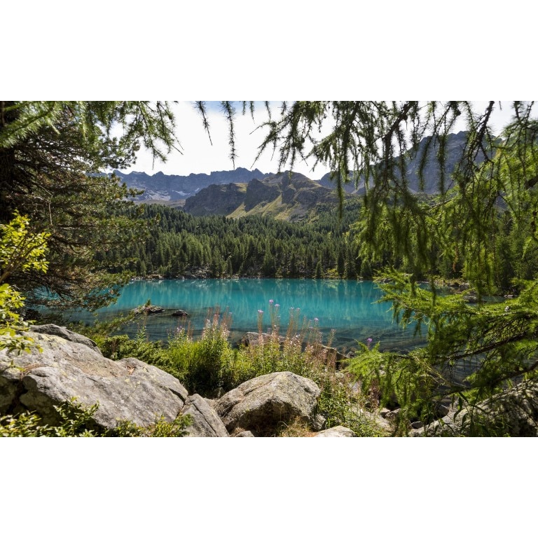 Tablou canvas Peisaj 195, 50x90 cm