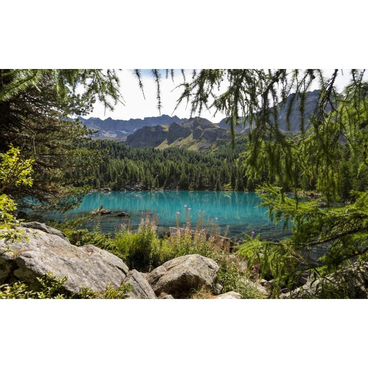 Öntapadós tapéta Canvas Landscape 195, 120x80 cm