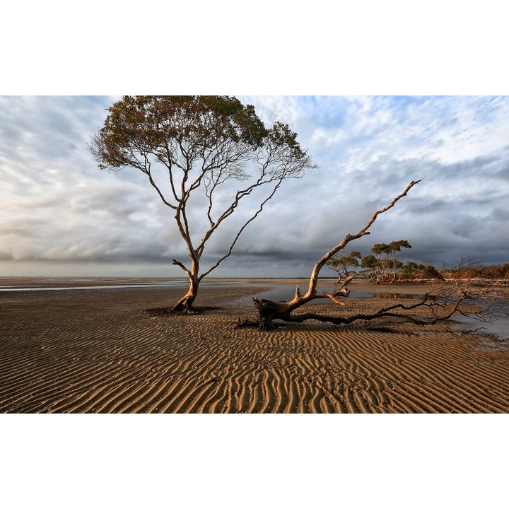 Fototapet autoadeziv Canvas Peisaj 179, 120x80 cm