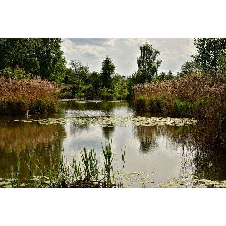 Tablou canvas Peisaj 177, 100x70 cm