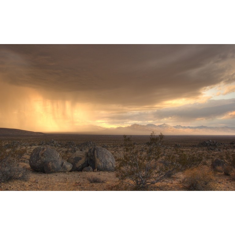 Tablou canvas Peisaj 193, 100x70 cm