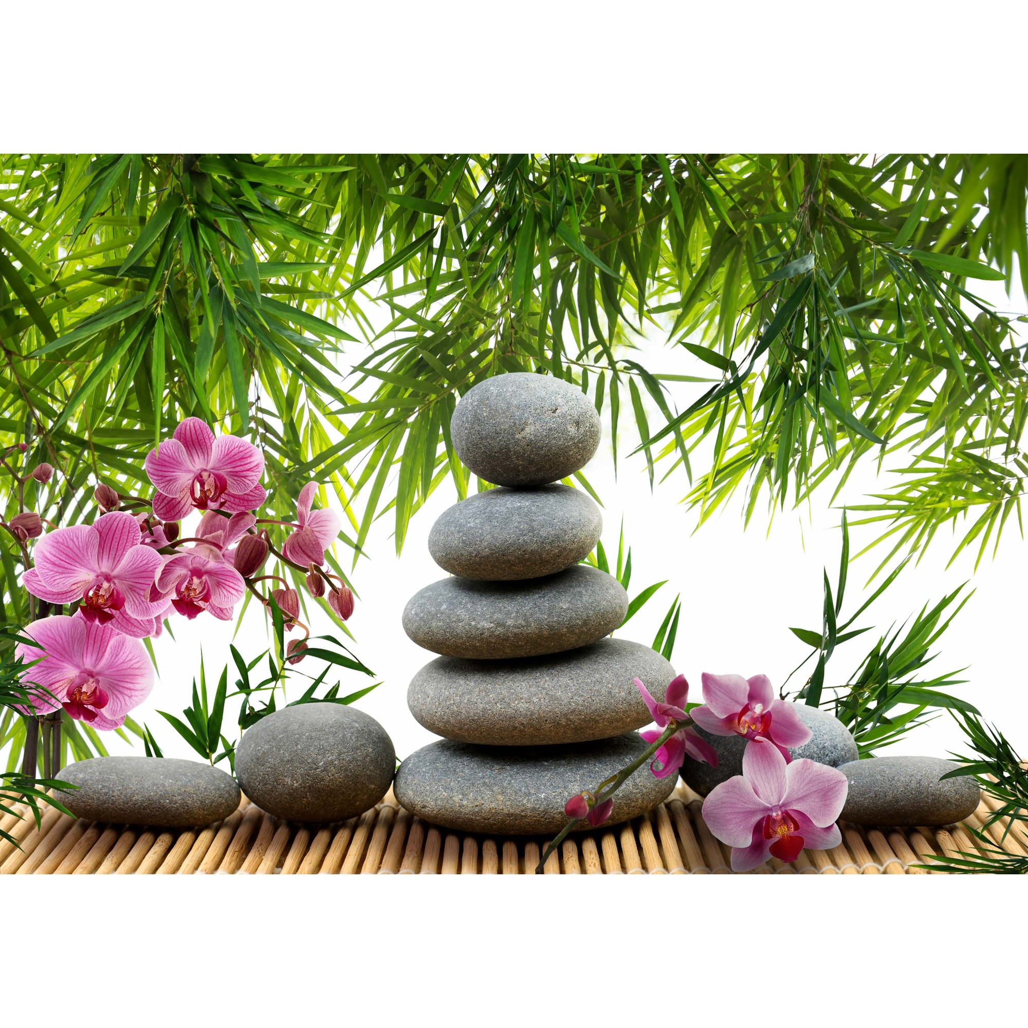 Fototapet DEGRETS 84576 Meditatie 136x194cm