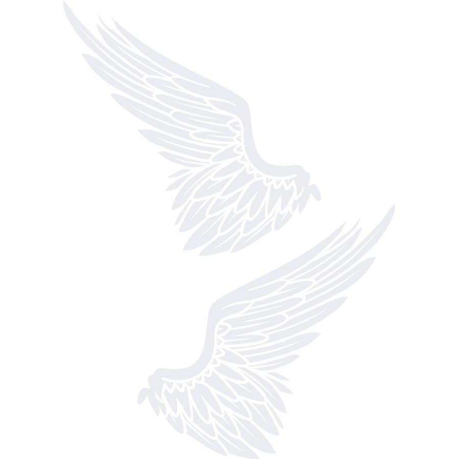 Sticker auto - Aripi - Alb polar - 2buc 34x34 cm