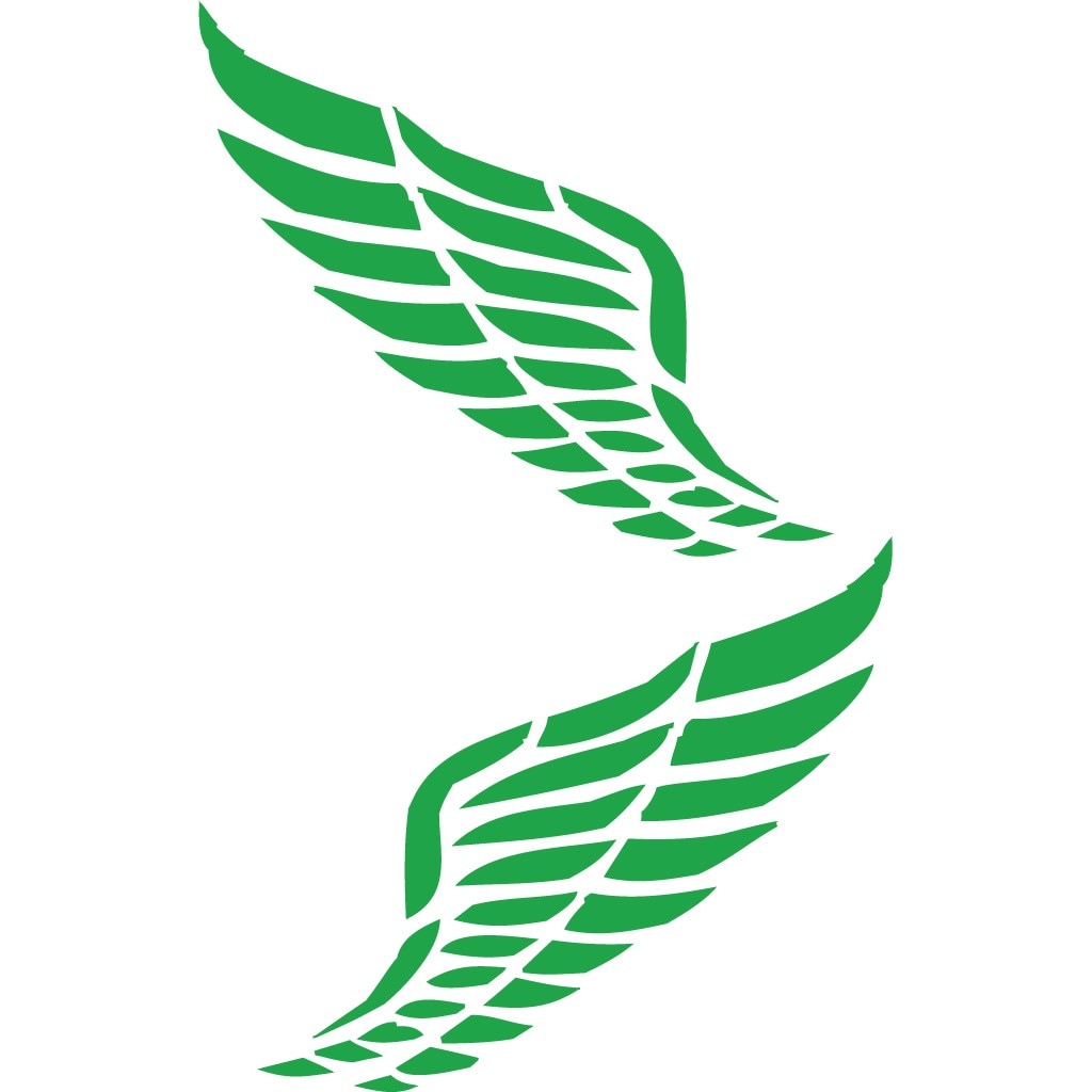 Sticker auto - Aripi tribal - Verde - 2buc 36x32 cm