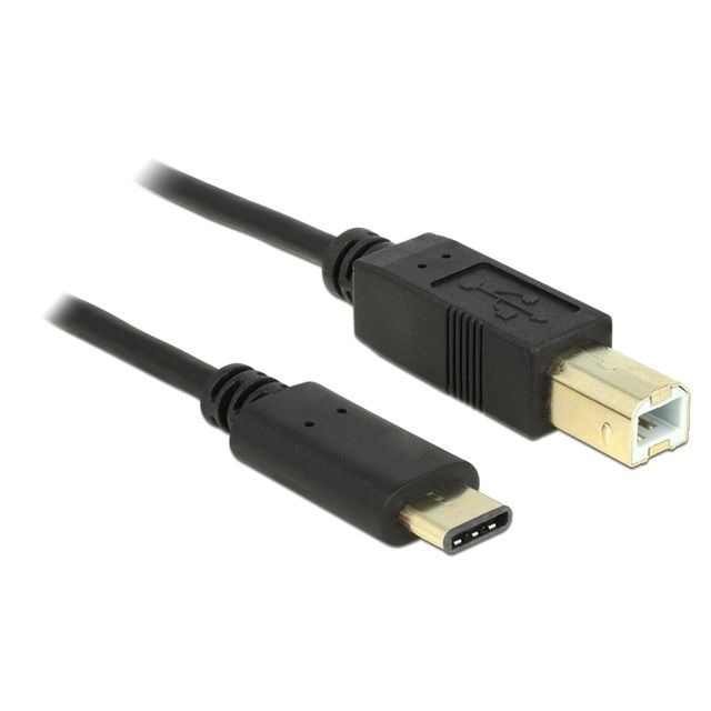 Cablu de date USB Tip C 2.0 si Tip B 2.0 Delock, 2m, Negru