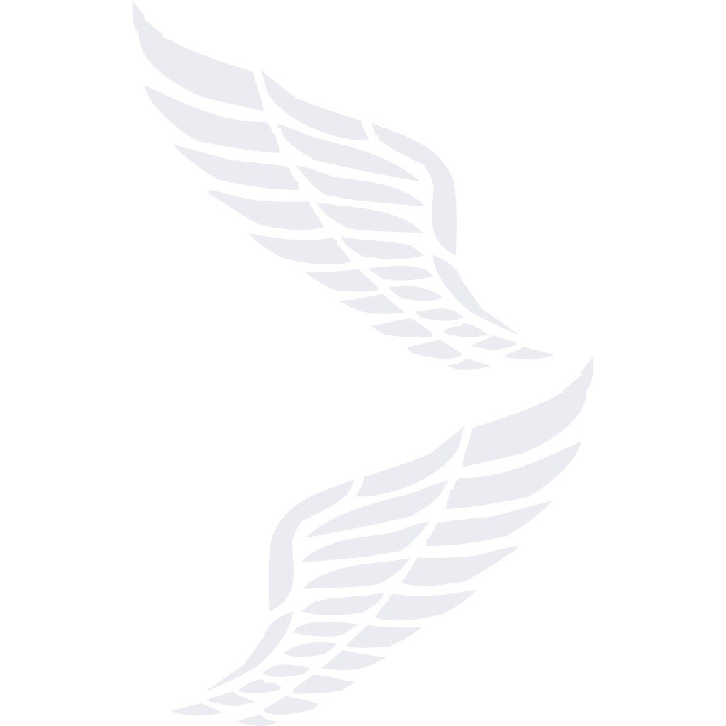 Sticker auto - Aripi tribal - Alb polar - 2buc 36x32 cm