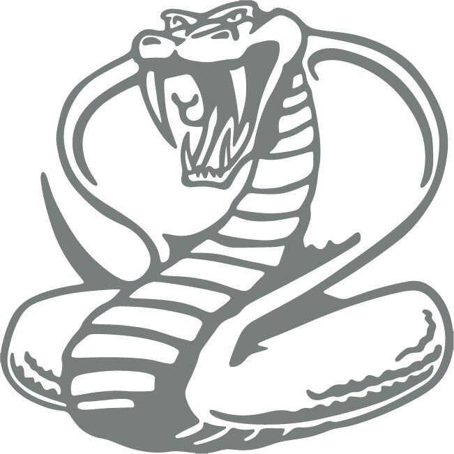 Sticker auto - Cobra - Gri Metal - 25x25 cm