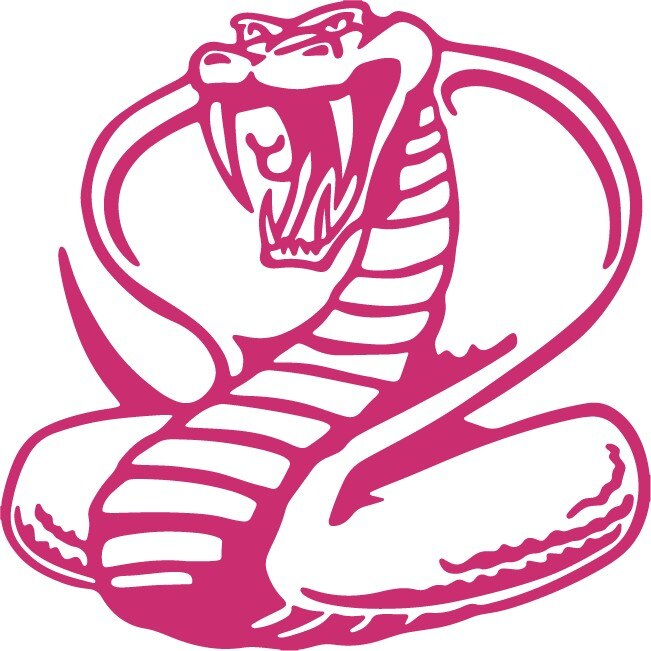 Sticker auto - Cobra - Magenta - 25x25 cm