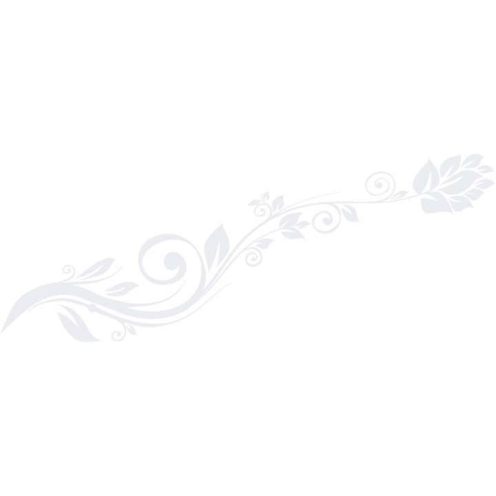Sticker auto - Levantica stilizata - Alb polar - 119x45 cm