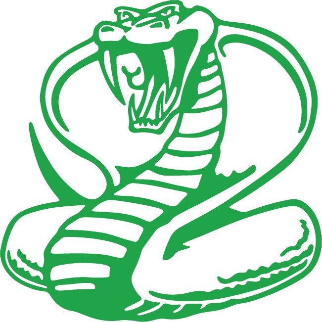 Sticker auto - Cobra - Verde - 25x25 cm