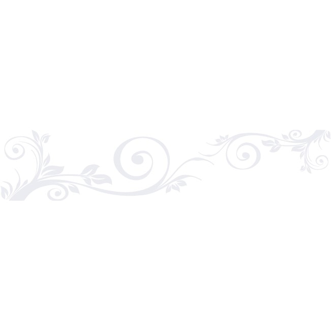 Sticker auto - Frunze - Alb polar - 117x25 cm