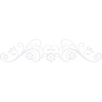 Sticker auto - Squill - Alb polar - 50x11 cm Sticker auto - Squill - Alb polar - 50x11 cm