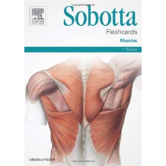 Sobotta Flashcards Muscles de Lars Bräuer