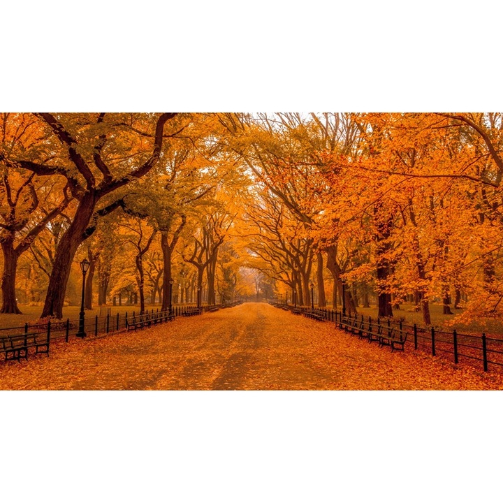 Tablou Canvas, Beautiful Autumn, Dimensiune 95 x 65 cm, Rama Lemn, Multicolor