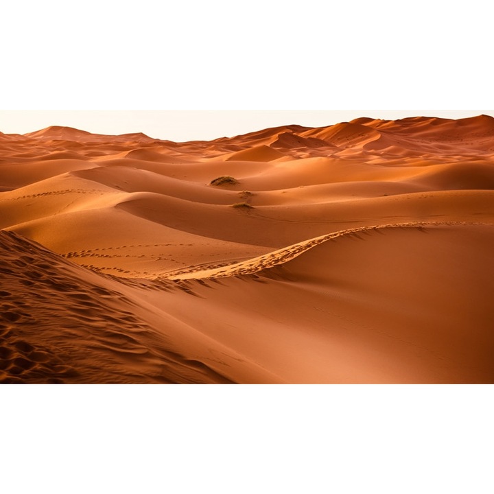 Tablou Canvas, Desertul din Maroc, Dimensiune 95 x 65 cm, Rama Lemn, Multicolor