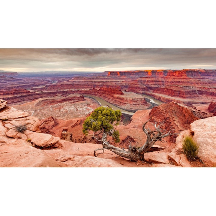 Tablou Canvas, Colorado River, Dimensiune 95 x 65 cm, Rama Lemn, Multicolor