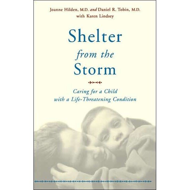 Shelter From The Storm de Joanne Hilden
