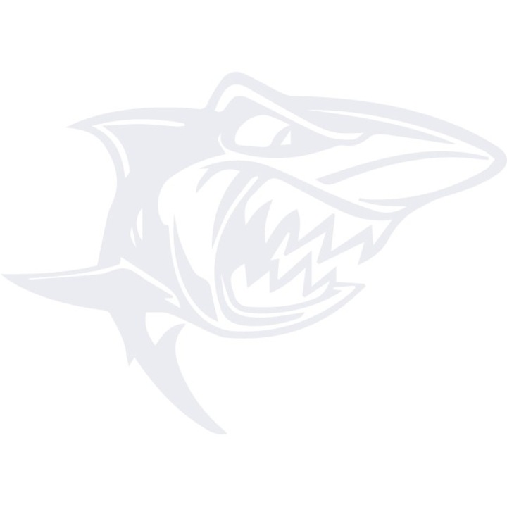 Sticker auto - Rechin - Alb polar - 35x25 cm