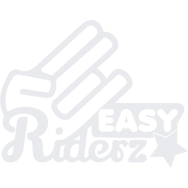 Sticker auto - Easy Riderz - Alb polar - 25x20 cm